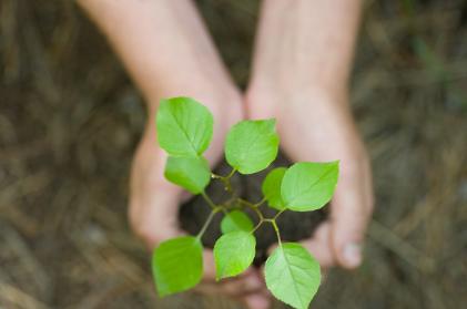 Sustentabilidade